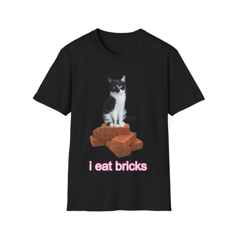 Comfort I Eat Cement Cat Shirt, I Eat Bricks Cute Cat Long Sleeve Crewneck