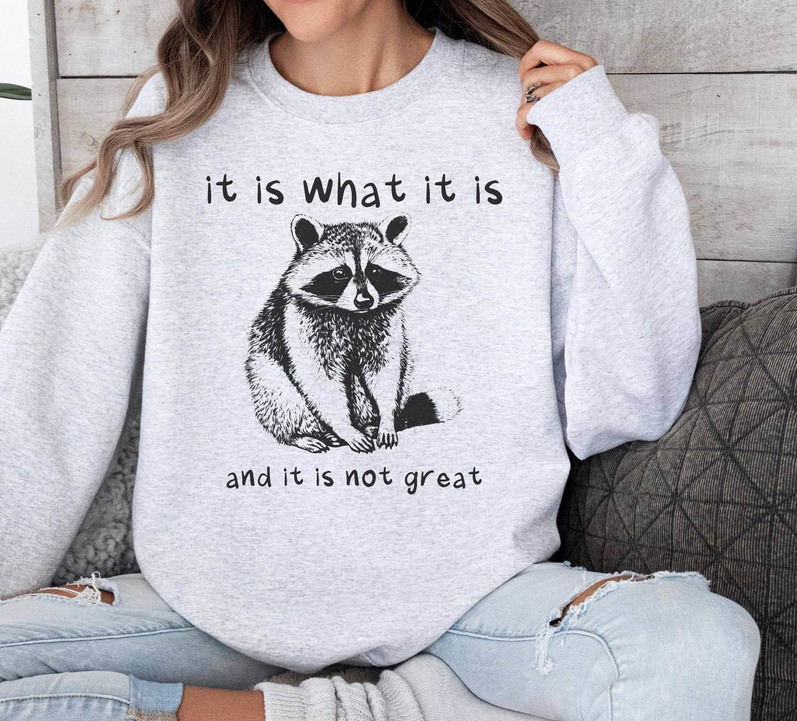 It Is What It Is And It Is Not Great Sweatshirt, Funny Raccoon Meme Hoodie Long Sleeve