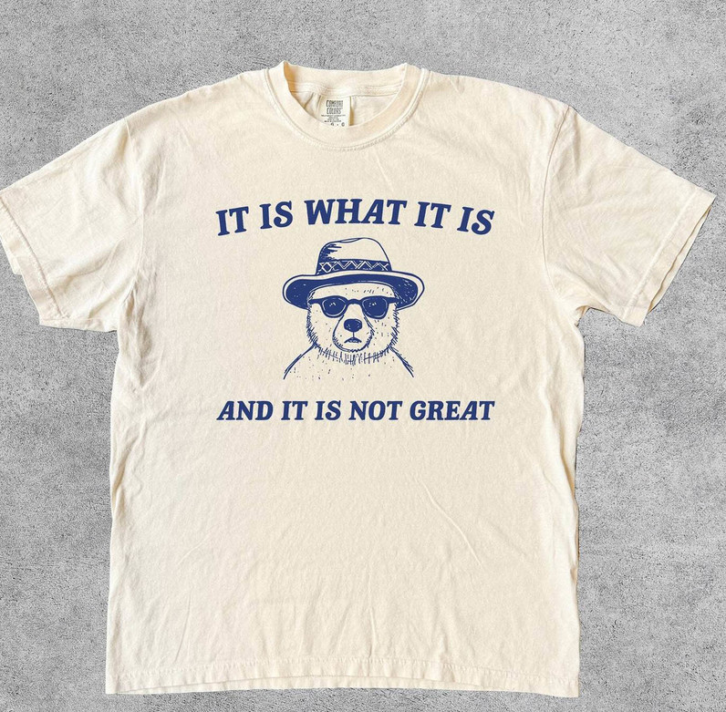 Vintage It Is What It Is And It Is Not Great Shirt, Funny Gifts For Hoodie Tee Tops