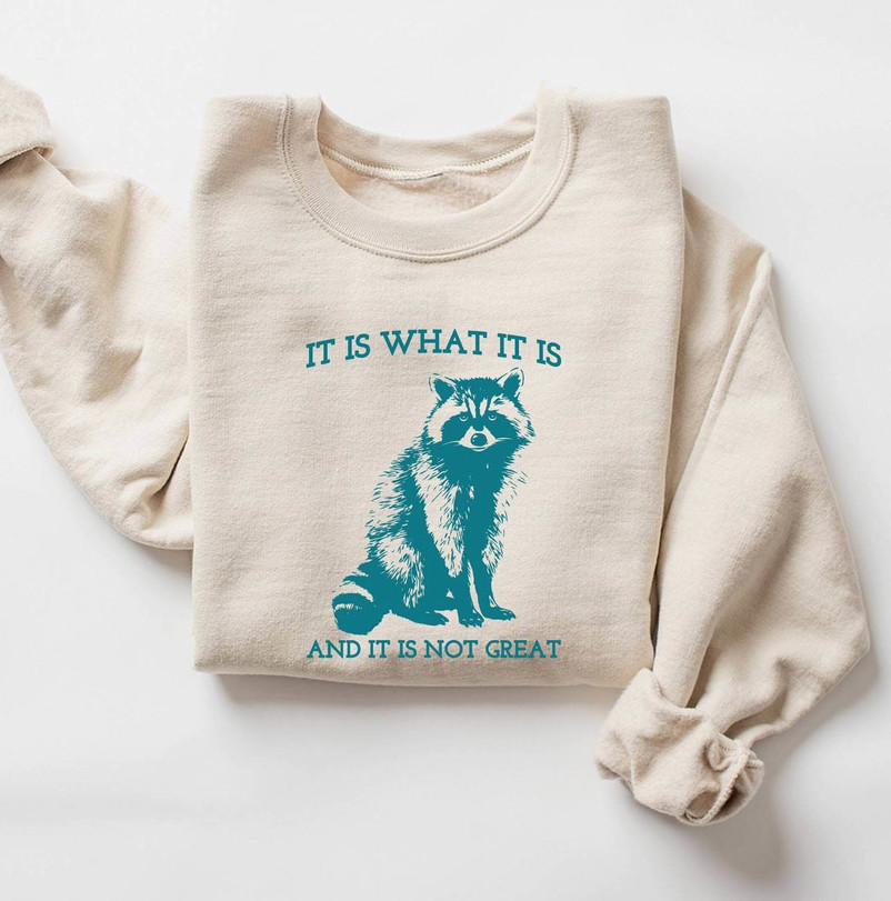 Unique It Is What It Is And It Is Not Great Sweatshirt, Raccoon Meme Tee Tops Hoodie