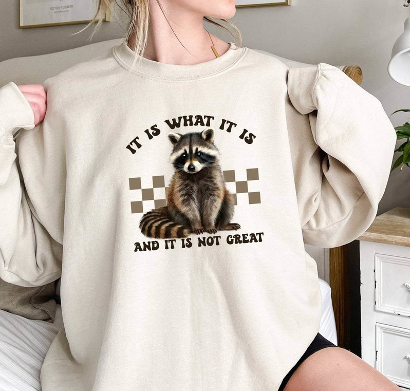 Limited It Is What It Is And It Is Not Great Sweatshirt, Racoon Lover Hoodie Tank Top