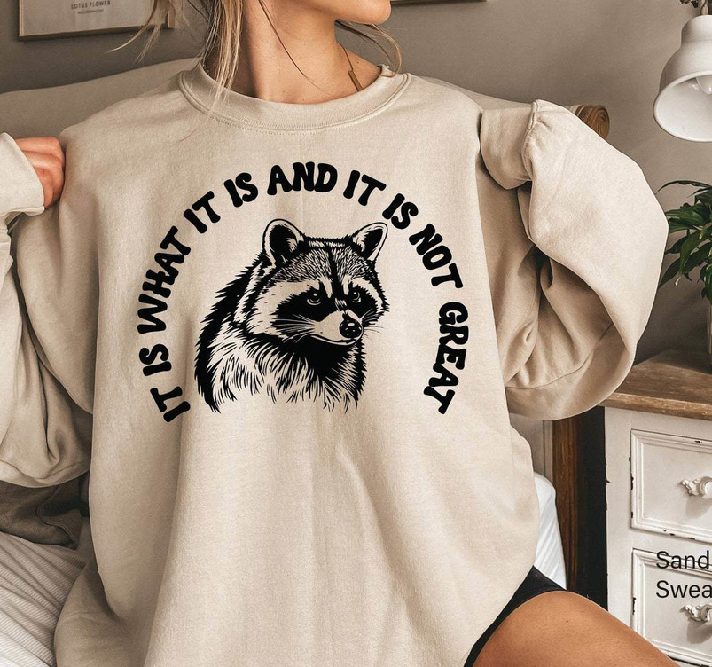 It Is What It Is And It Is Not Great Shirt, Raccoon Meme Hoodie Tank Top