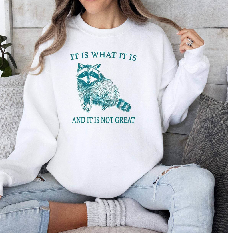 It Is What It Is And It Is Not Great Sweater, Cartoon Meme Shirt Long Sleeve