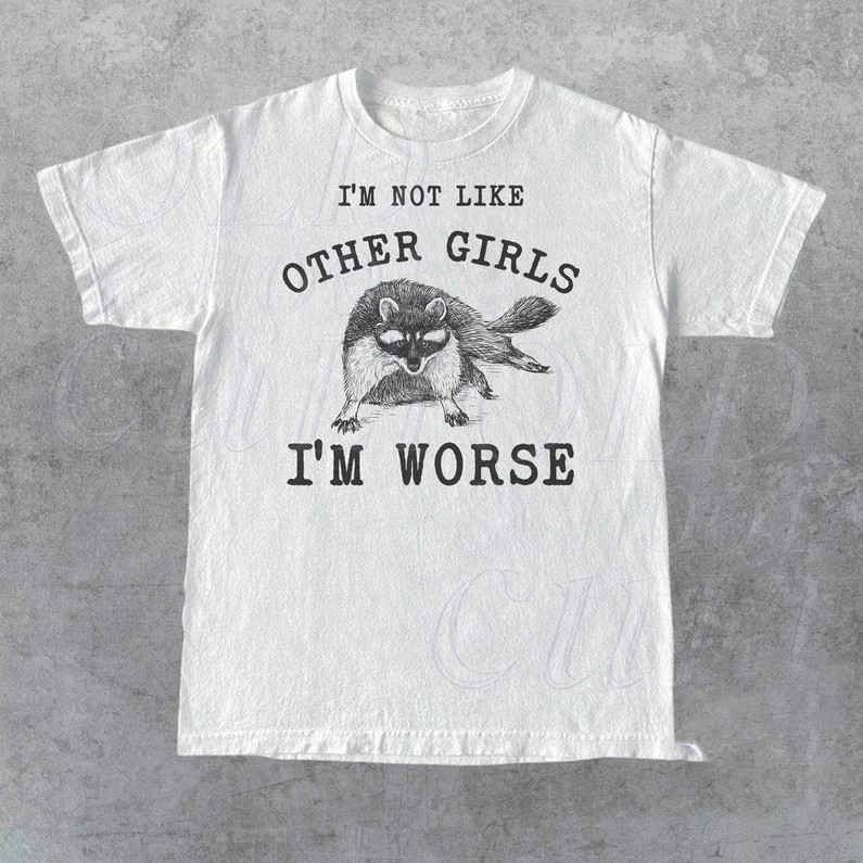 I'm Not Like Other Girls I'm Worse Shirt, Raccoon Meme Sweater Tee Tops