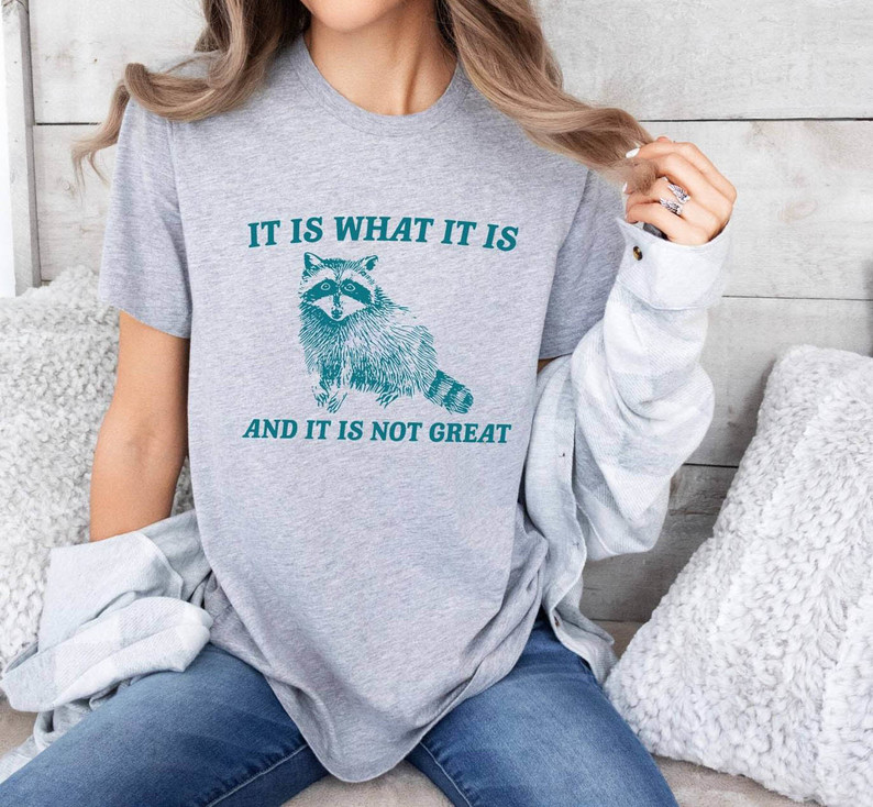 It Is What It Is And It Is Not Great Vintage Shirt, Raccoon Meme Crewneck Sweatshirt Sweater