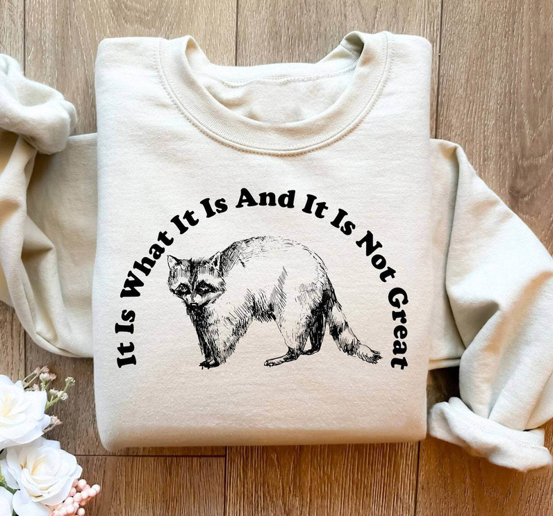 It Is What It Is And It Is Not Great Shirt, Retro Funny Raccoon Crewneck Sweatshirt Sweater
