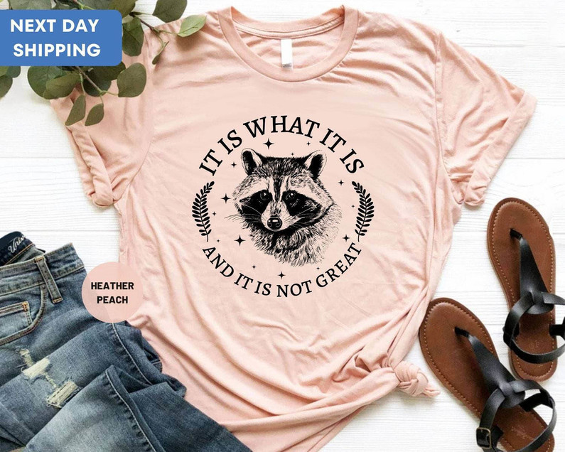 It Is What It Is And It S Not Great Shirt, Raccoon Mental Health Short Sleeve Long Sleeve