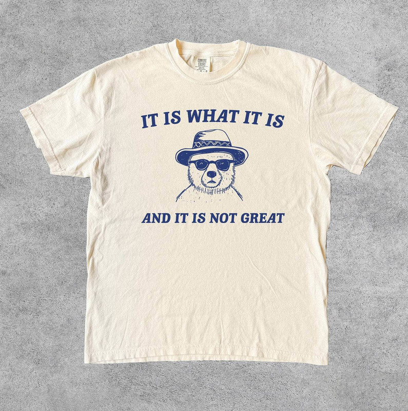 It Is What It Is And It Is Not Great Funny Shirt, Vintage Meme Crewneck Sweatshirt Sweater