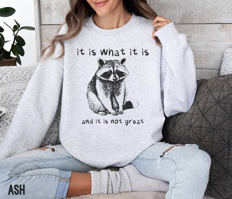 It Is What It Is And It Is Not Great Funny Shirt, Funny Meme Crewneck Sweatshirt Sweater