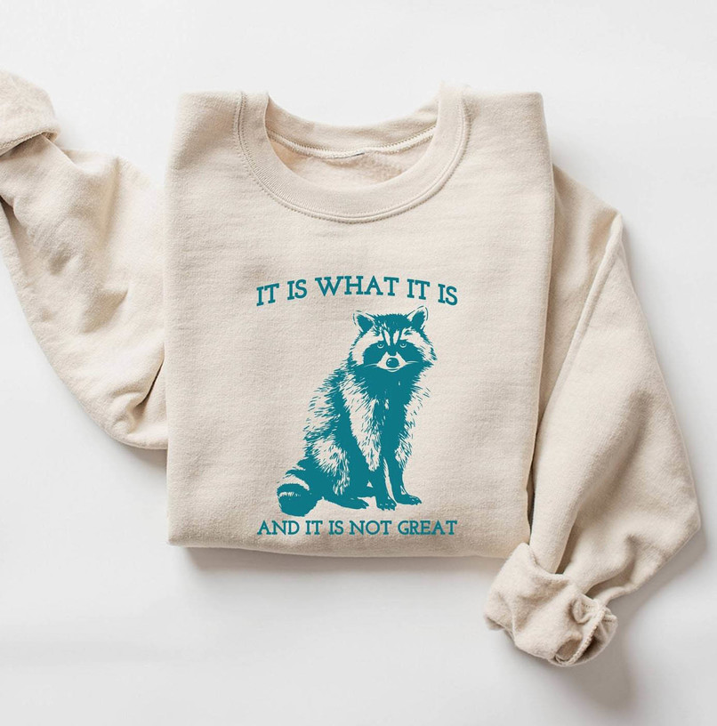 It Is What It Is And It Is Not Great Shirt, Raccoon Mental Long Sleeve Hoodie