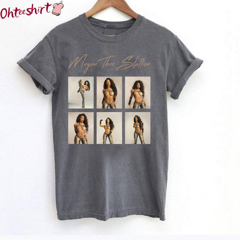 Must Have Megan Thee Stallion Shirt, Unique Long Sleeve Tee Tops Gift For Fan